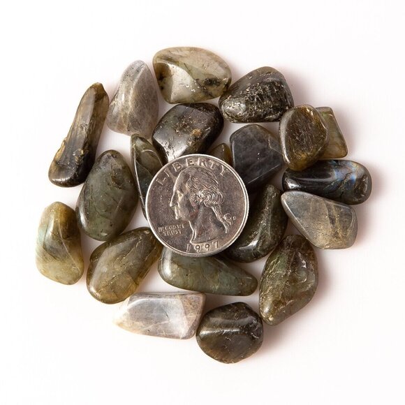 1/4 lb Tumbled Labradorite Gemstone Crystals 40-60 Stones Gem Rock Specimens - Picture 2 of 7